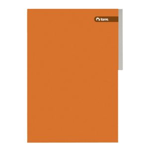CARPETA PIGMENTADA NARANJO