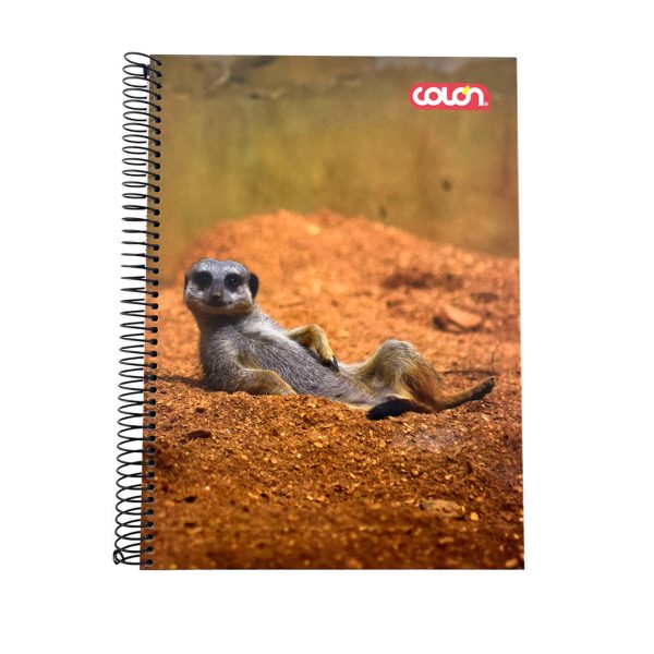 CUADERNO TOP LITO 7MM 120 HJS COLON