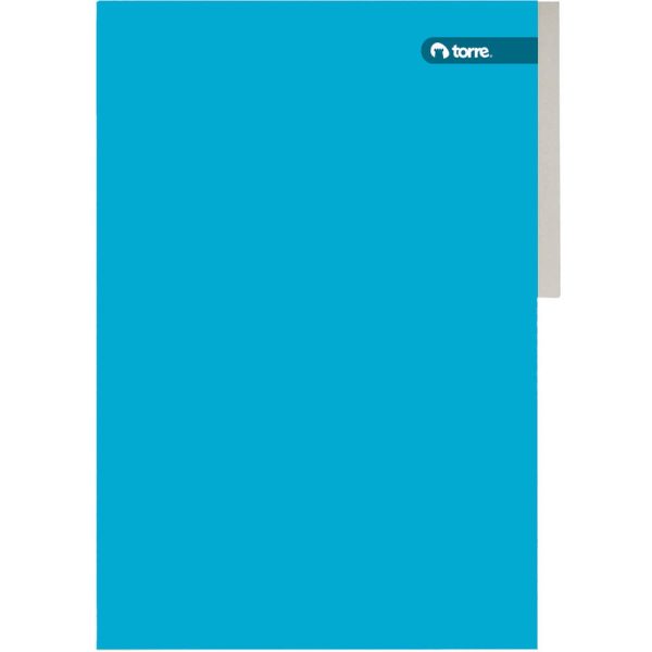 CARPETA PIGMENTADA CELESTE