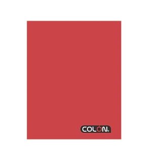 CUAD.COLLEGE LISO 5M 100H COLON